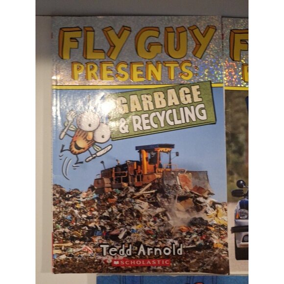 10 Fly Guy Stories in 5 Books Lot Level 2 Readers Tedd Arnold Scholastic - Picture 2 of 8